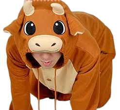 Kigurumi Co Stylish Brown Bull Onesies Animal Onesies